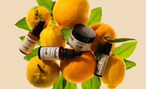 Summer Offers